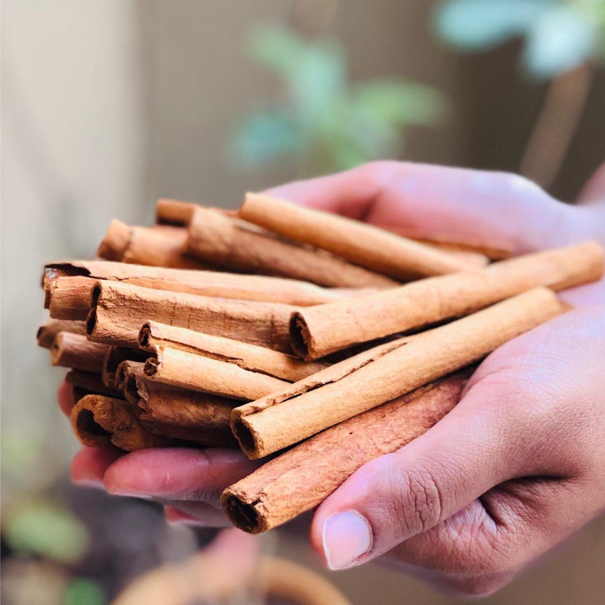 50 gm jar of whole Ceylon cinnamon quills