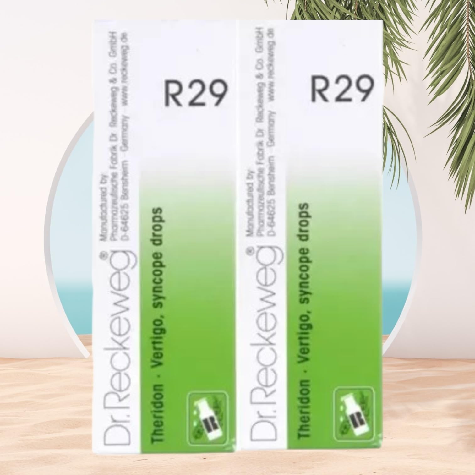 Dr Reckeweg R29 Homeopathic Medicine Theridon - Homeopathic Medicine 22ml, Pack of 2 – view 2