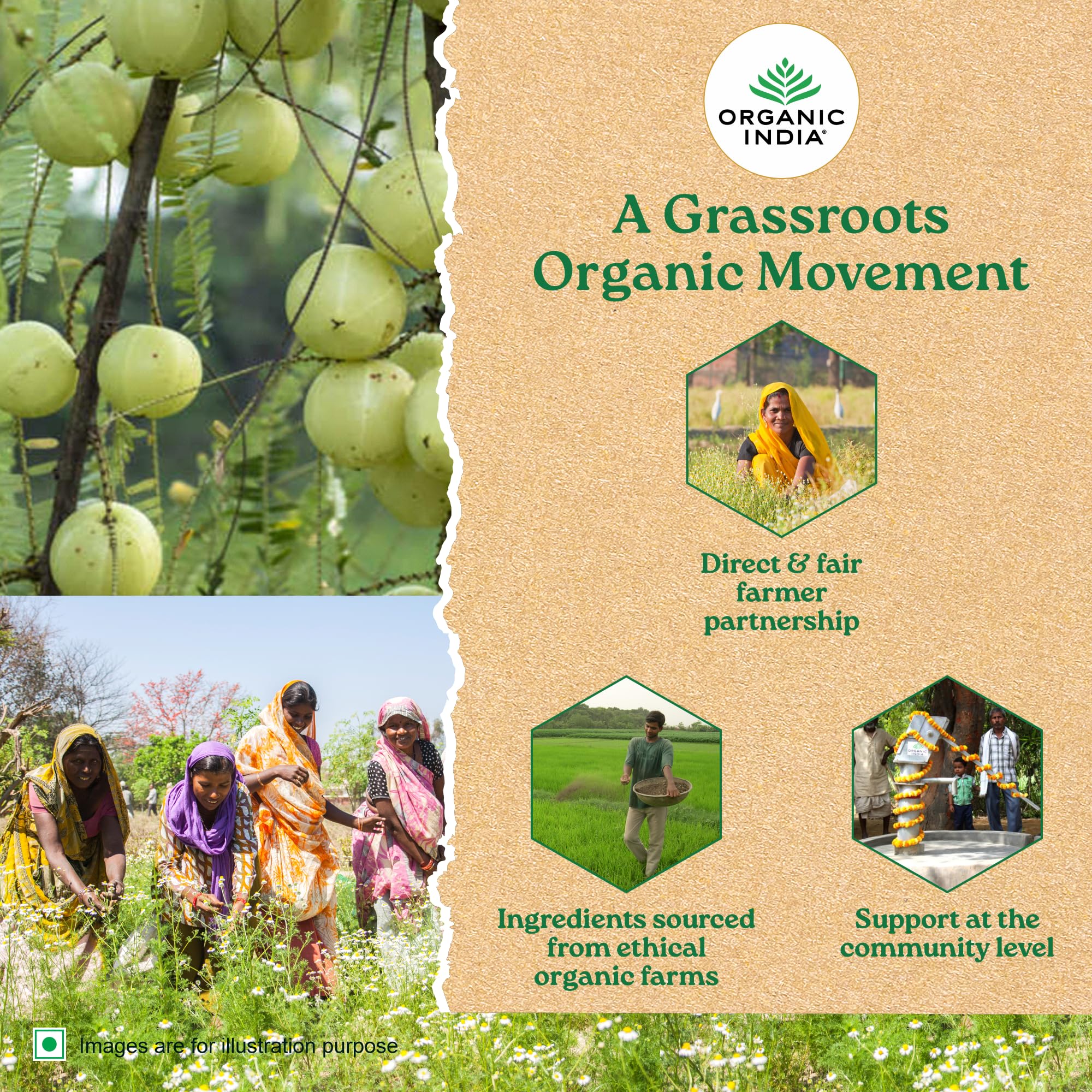 Organic India the Tulsi Original - 100 G – view 7