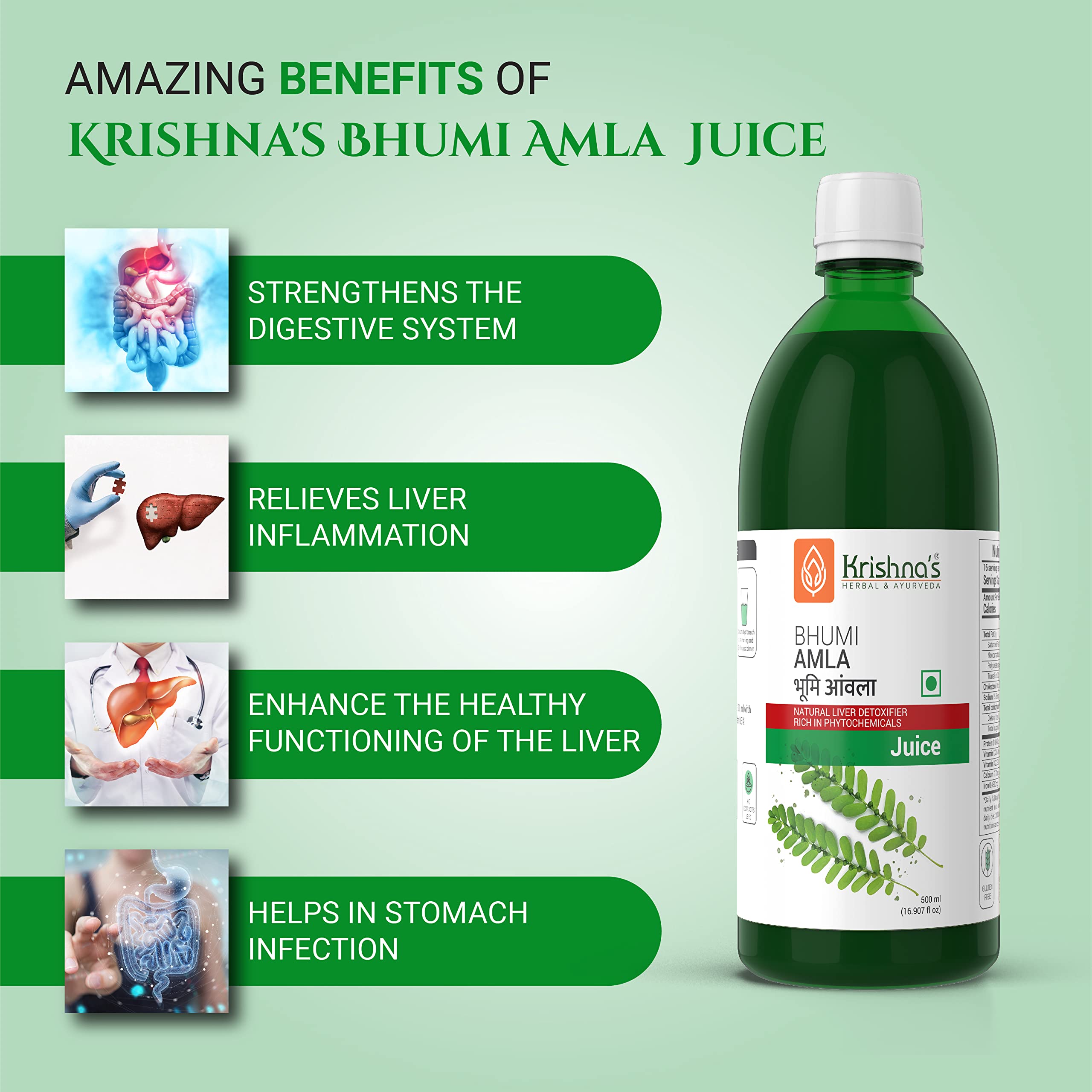 KRISHNA'S HERBAL & AYURVEDA Bhumi Amla Juice - 1000 ml – view 3