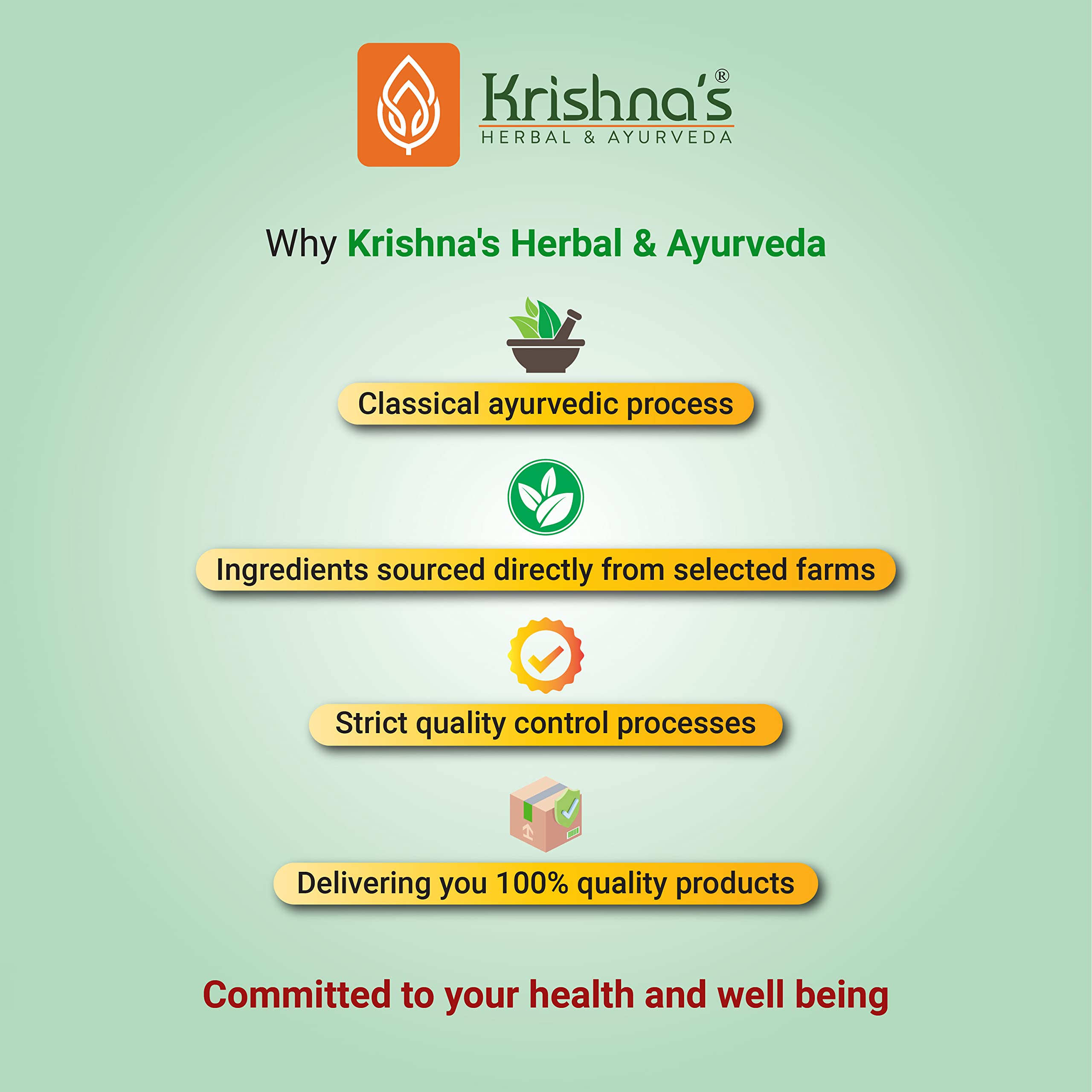 KRISHNA'S HERBAL & AYURVEDA Bhumi Amla Juice - 1000 ml – view 7