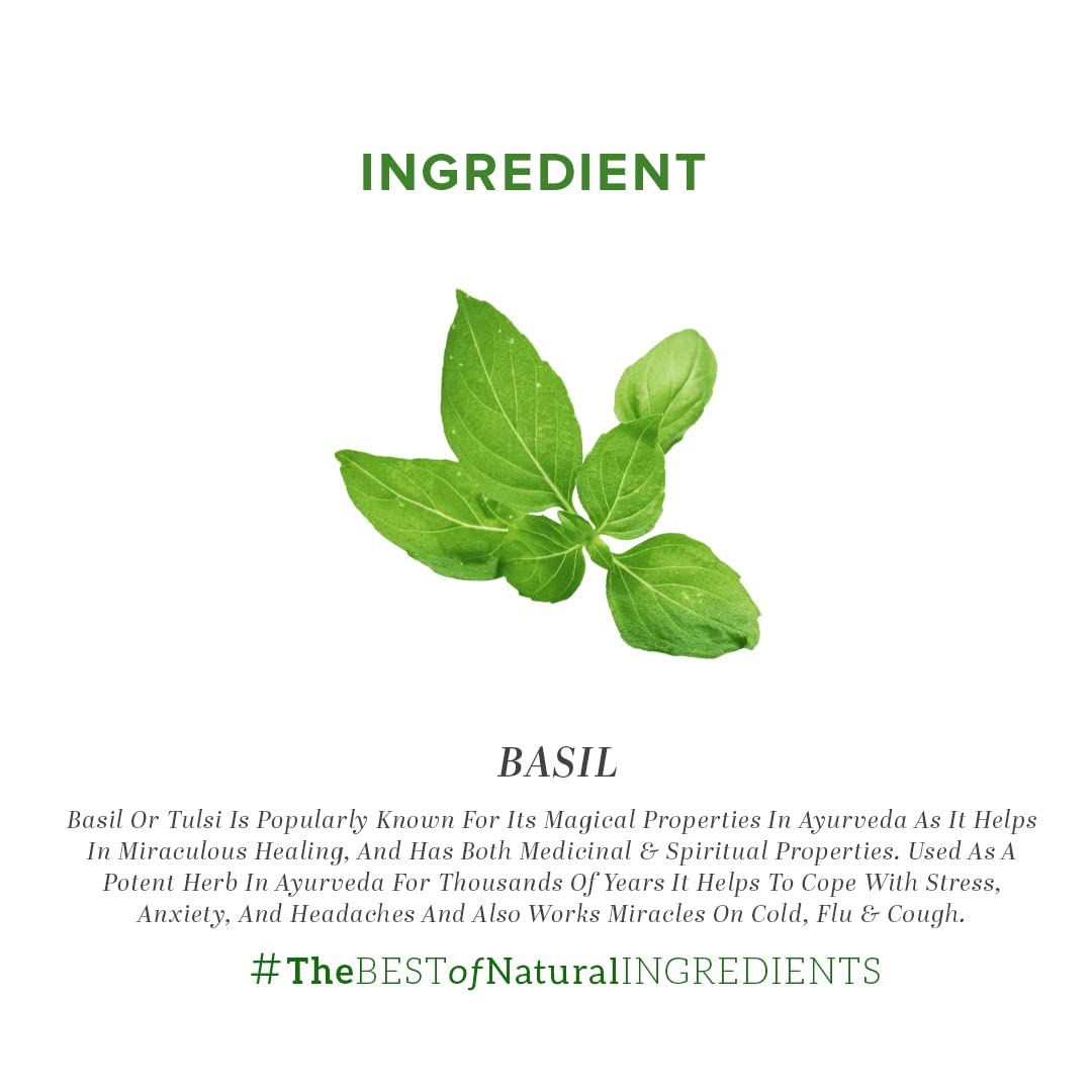 KHADI NATURAL Basil Oil, 15ml – view 7