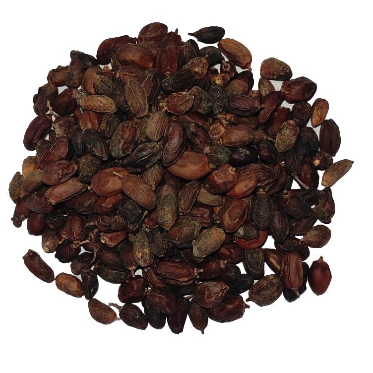 Yuvika Neem Niboli - Azadirachta Indica Seeds - Neem Seeds 400 Grams – view 2