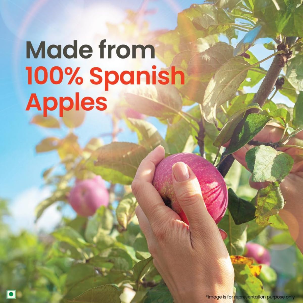 A TATA Product - Organic India Apple Cider Vinegar 250ml, With Mother of Vinegar, Raw & Unfiltered, Extracted from Spanish Red Apples, Lab Tested on 250+ Parameters (500 ml) – view 3