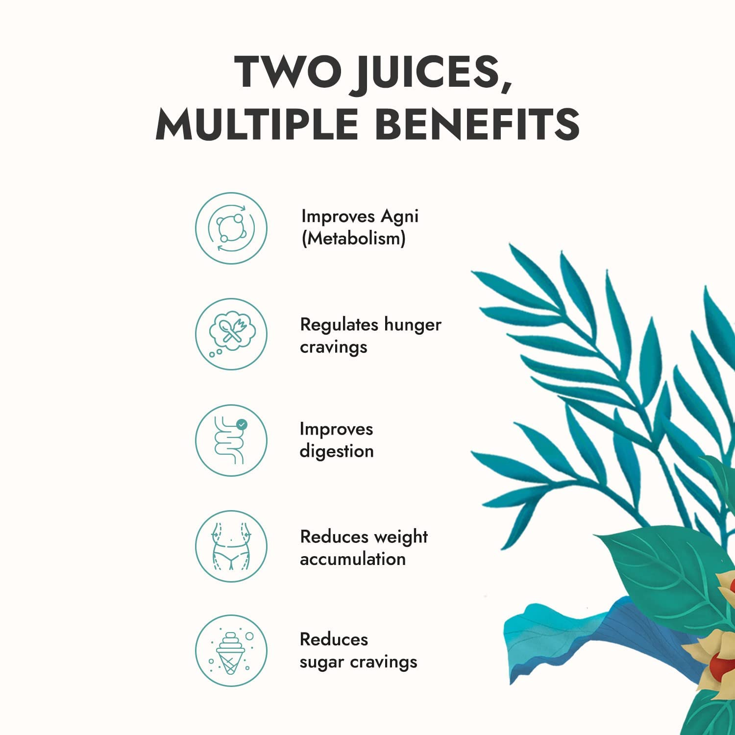 Kapiva Get Slim Juice + Aloe Vera and Garcinia Juice – view 3