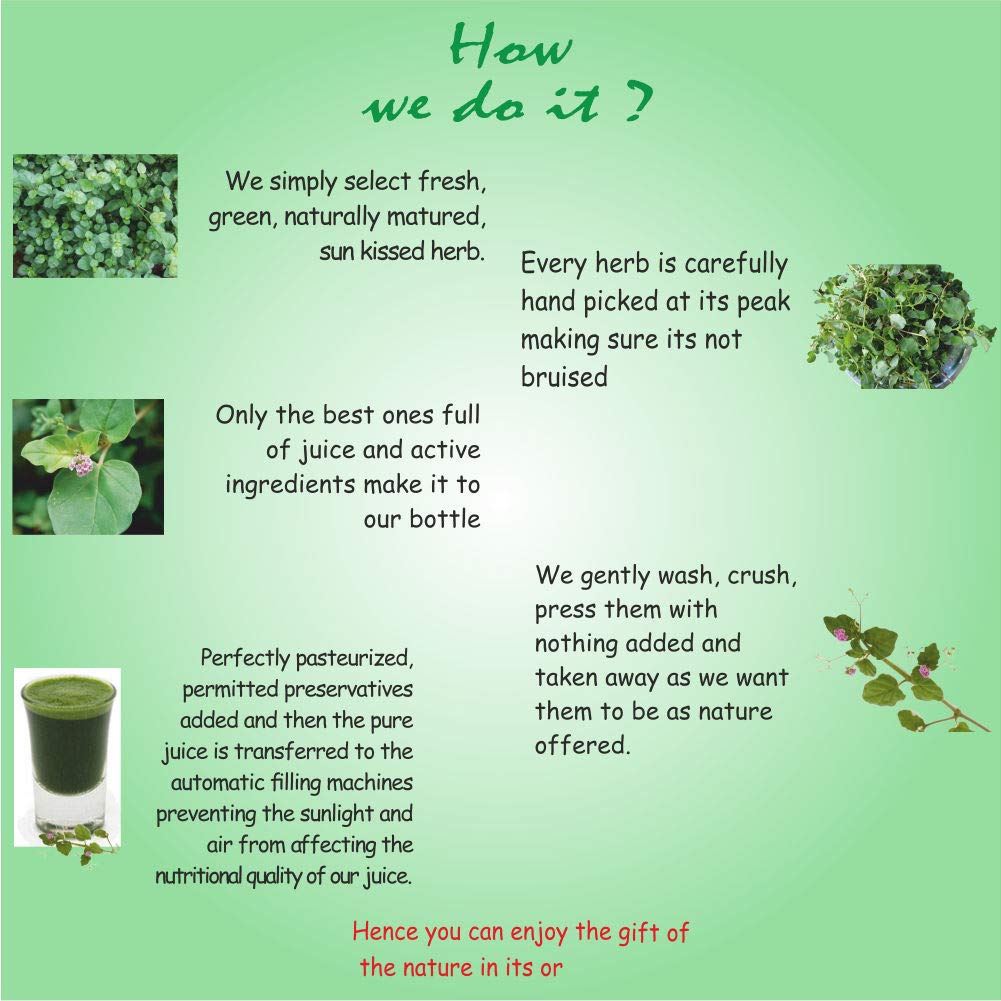 Axiom Punarnava Panchang Herbal Juice - 500mL – view 3