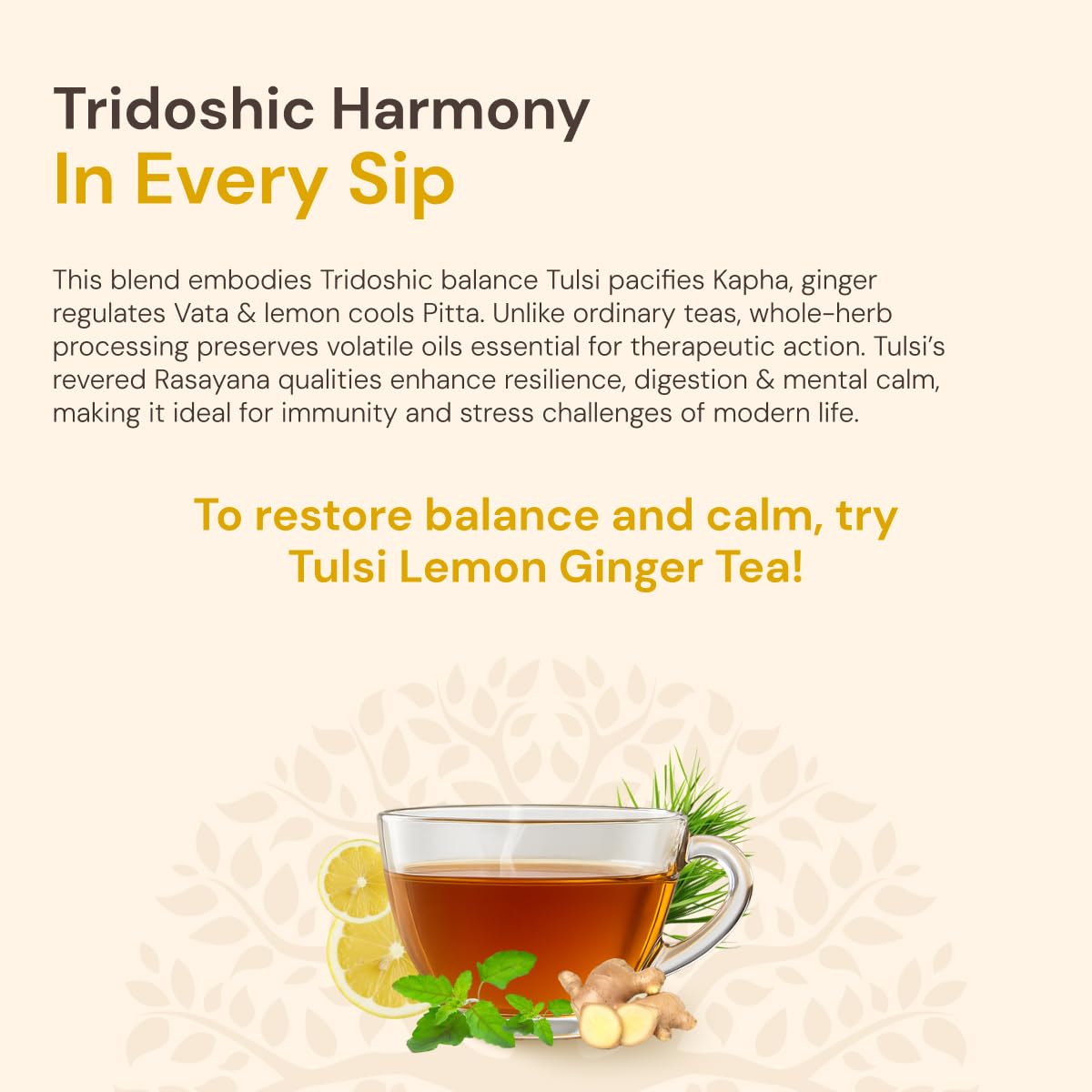 Maharishi Ayurveda Organic Certified Tulsi Lemon Ginger Herbal Tea – view 5
