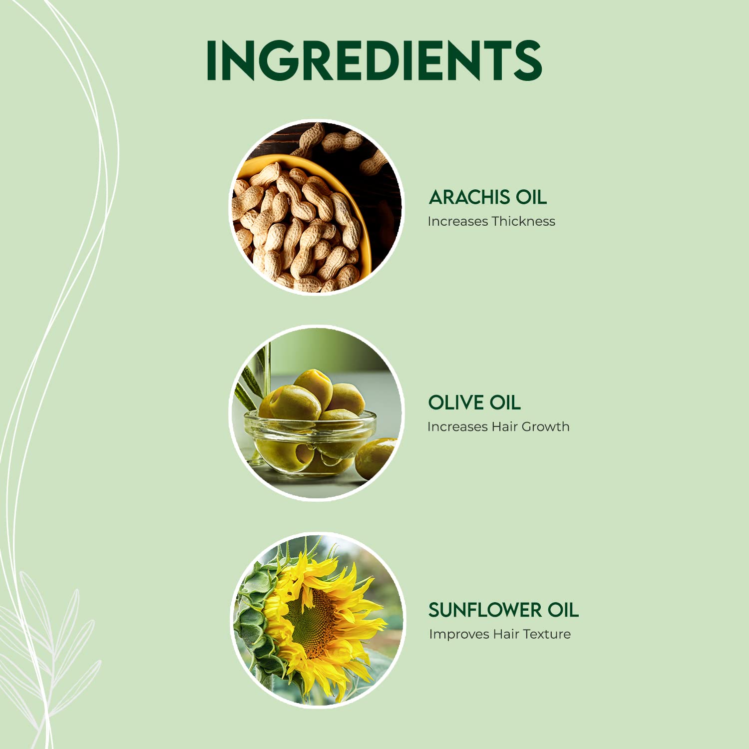 Jovees Herbal Bringraj & Olive Bio- Advanced Hair Oil – view 4