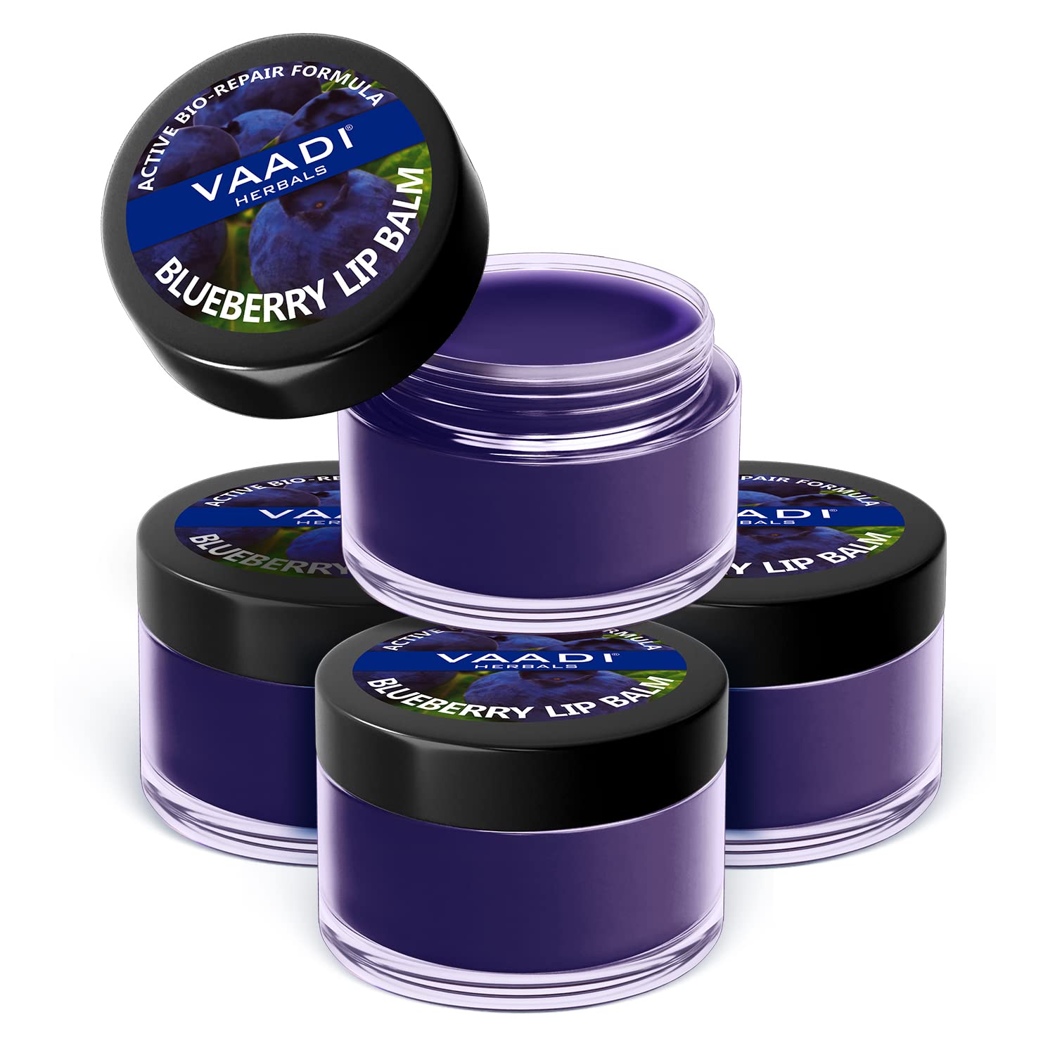 Blueberry lip balm 4 x 10 g pack by Vaadi Herbals