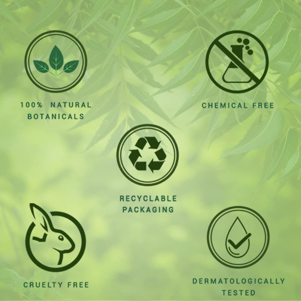 Biotique Fresh Neem Anti Dandruff Shampoo and Conditioner – view 7
