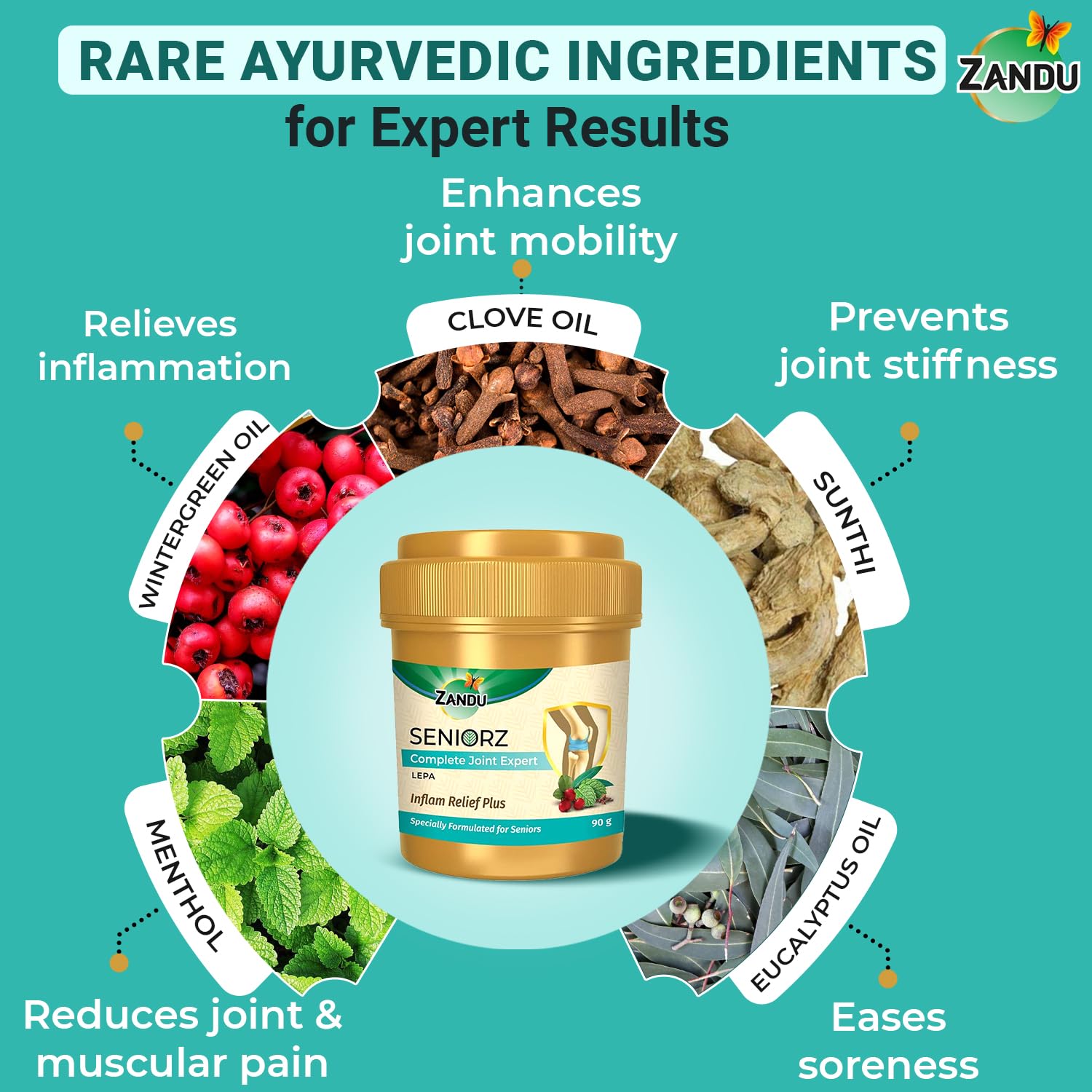 Zandu Seniorz Complete Joint Expert Lepa, 90g, Helps reduce muscular & joint pain, Increase Joint Flexibility & Reduce Joint Stiffness, 100% Ayurvedic & Natural Balm – view 5