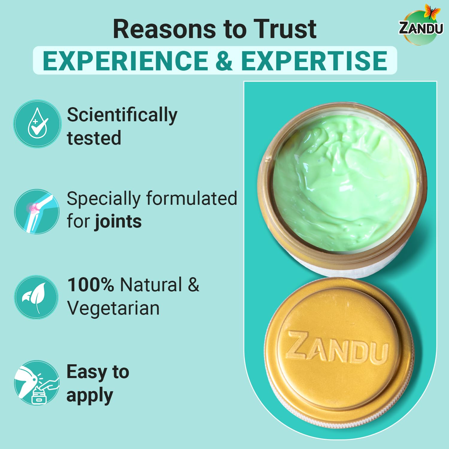 Zandu Seniorz Complete Joint Expert Lepa, 90g, Helps reduce muscular & joint pain, Increase Joint Flexibility & Reduce Joint Stiffness, 100% Ayurvedic & Natural Balm – view 6