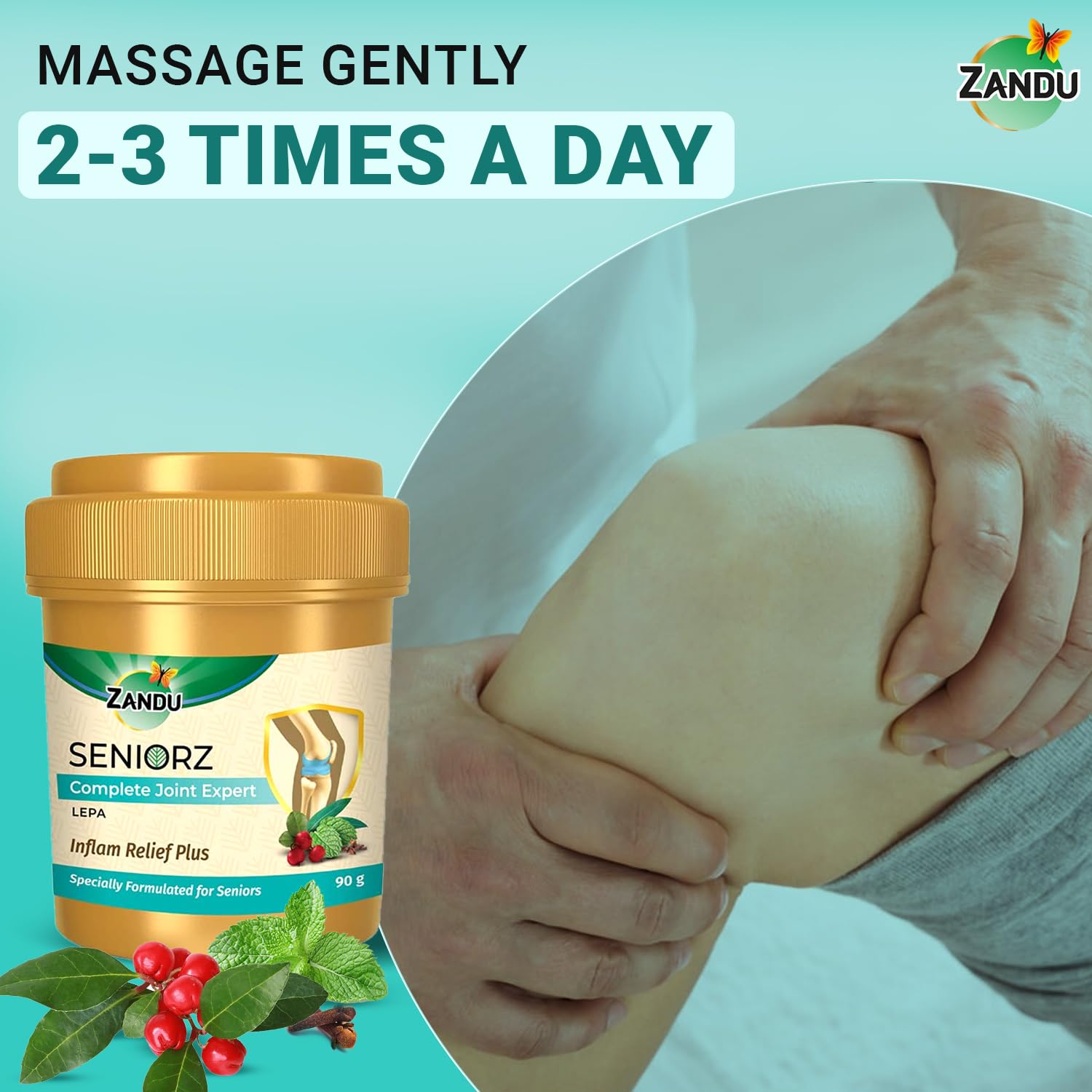 Zandu Seniorz Complete Joint Expert Lepa, 90g, Helps reduce muscular & joint pain, Increase Joint Flexibility & Reduce Joint Stiffness, 100% Ayurvedic & Natural Balm – view 7