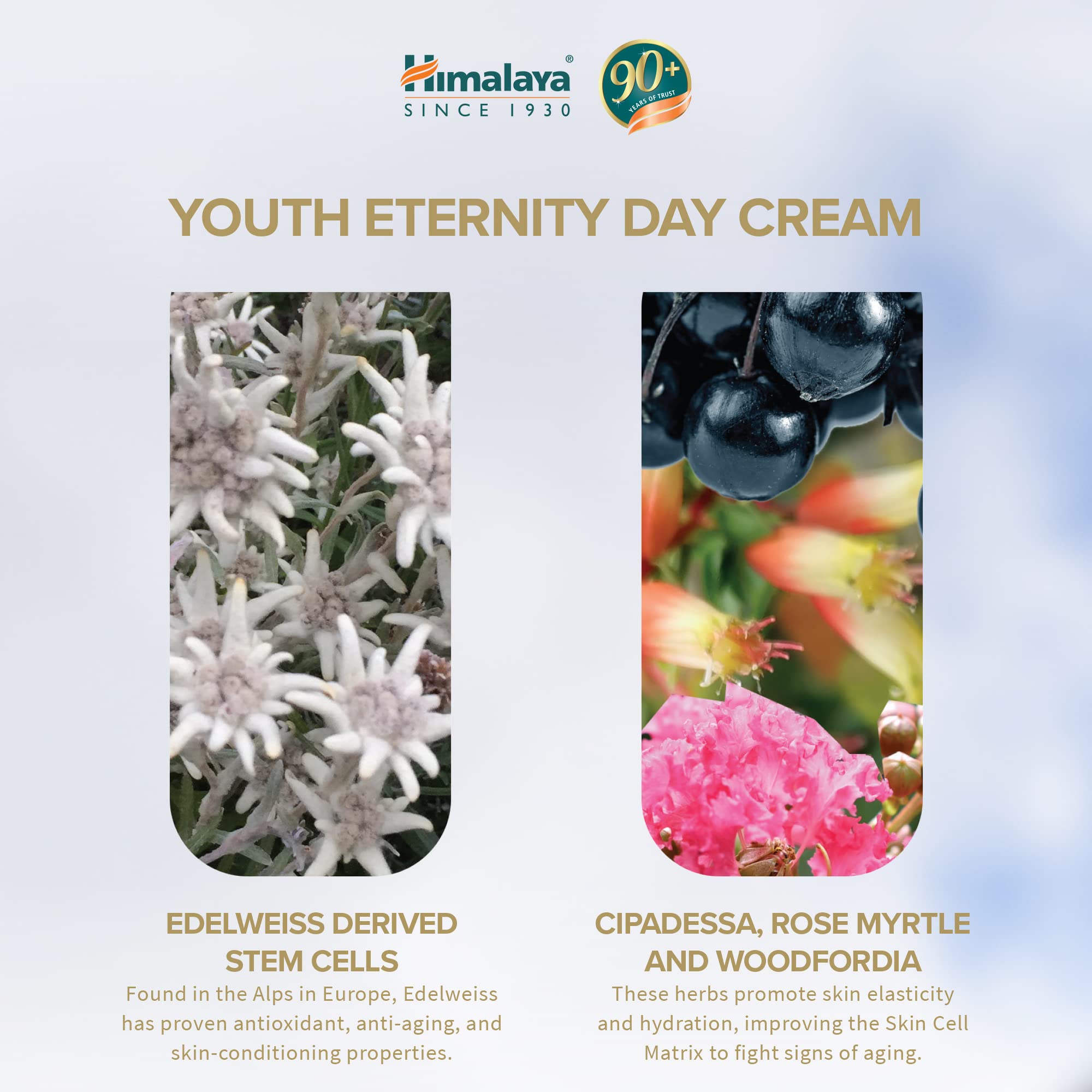 Himalaya Youth Eternity Day Cream, 50 ml – view 3
