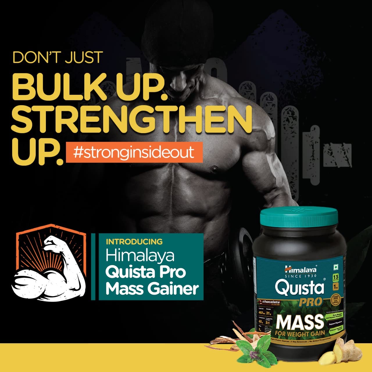 Himalaya Quista Pro MASS For Weight Gain - 1kg (Chocolate) – view 6