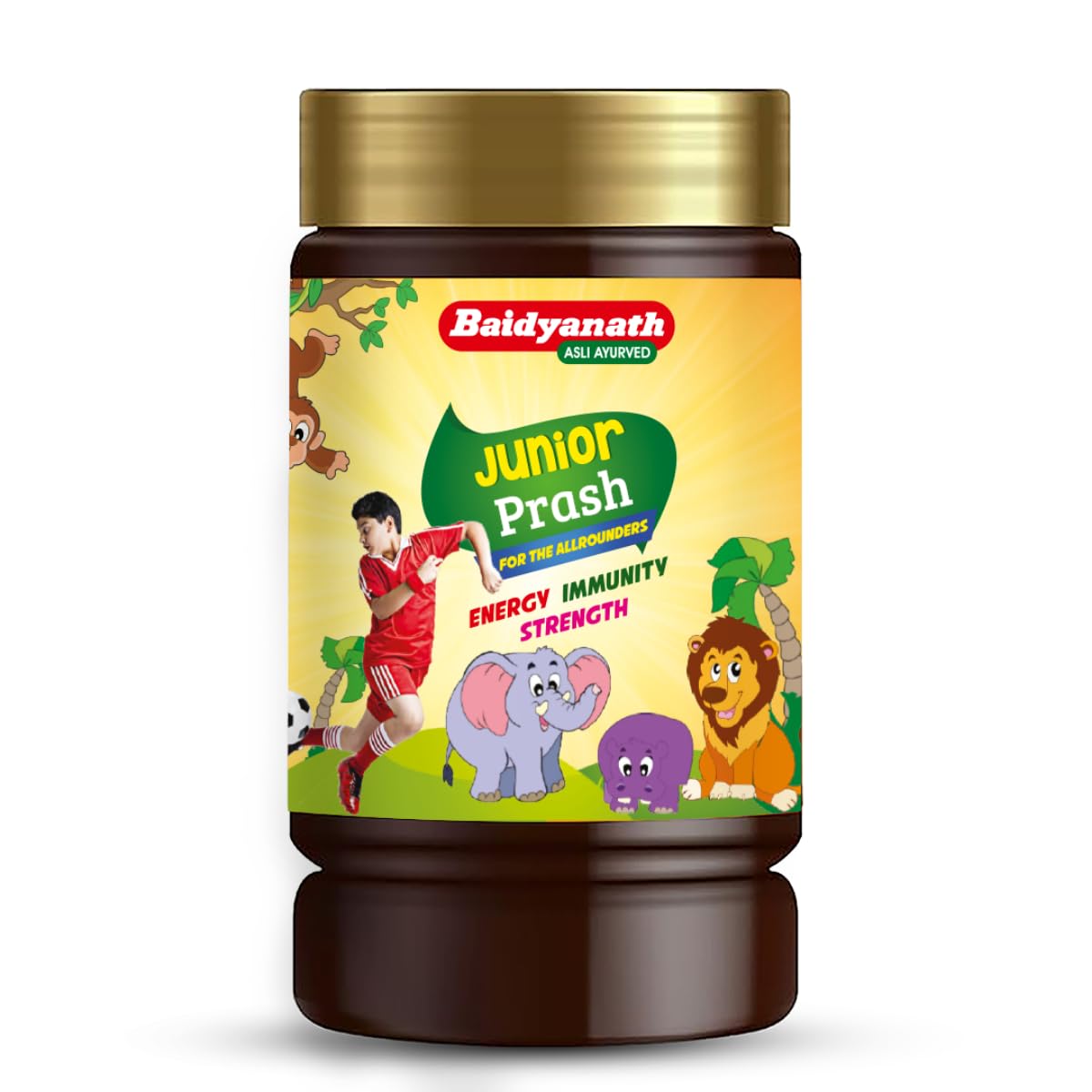 Baidyanath Junior Prash 1kg kids chyawanprash pack