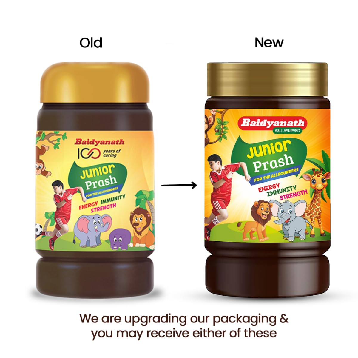 Baidyanath Junior Prash - 1kg – view 3