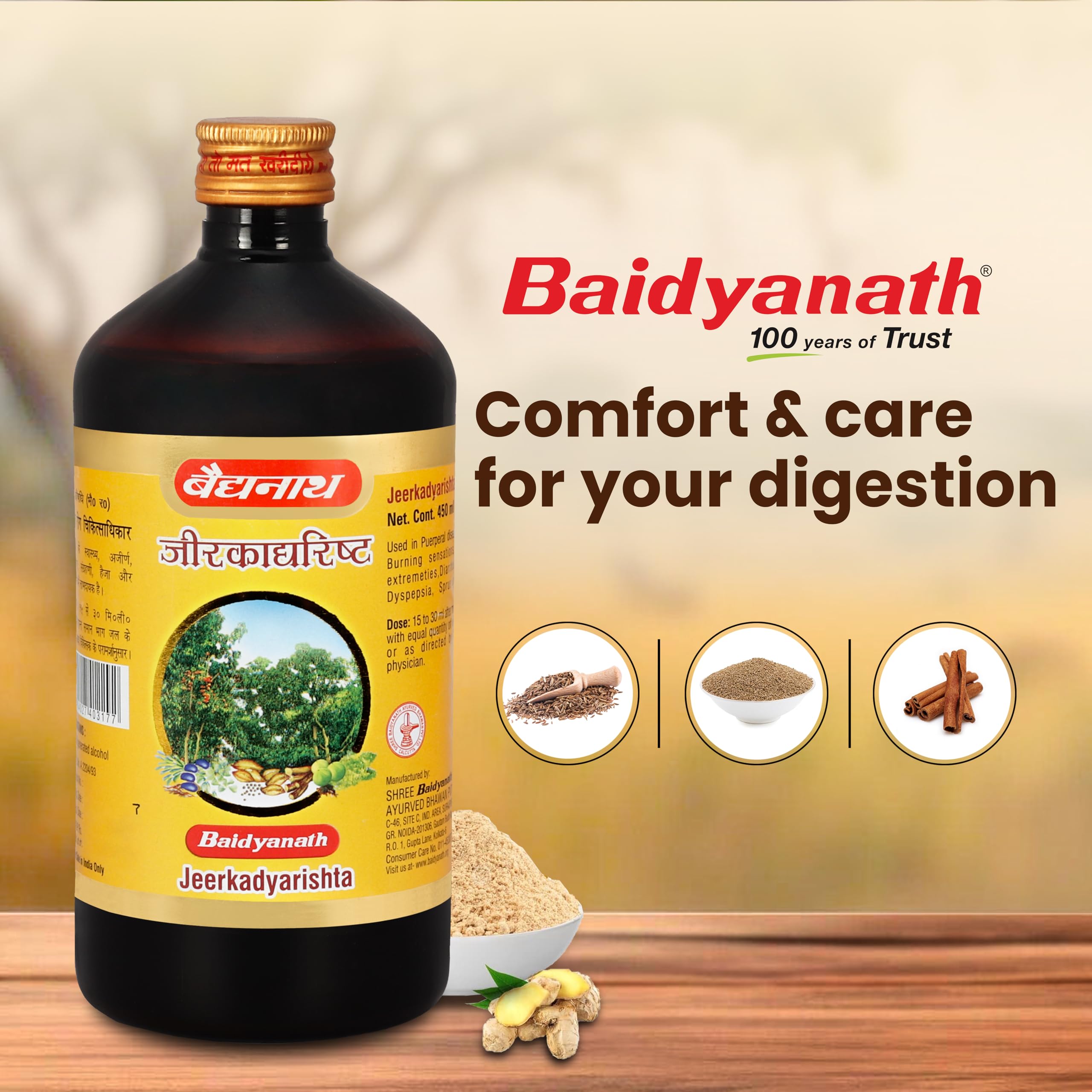 Baidyanath Jeerkadyarist Ayurvedic Tonic - 450 ml – view 4