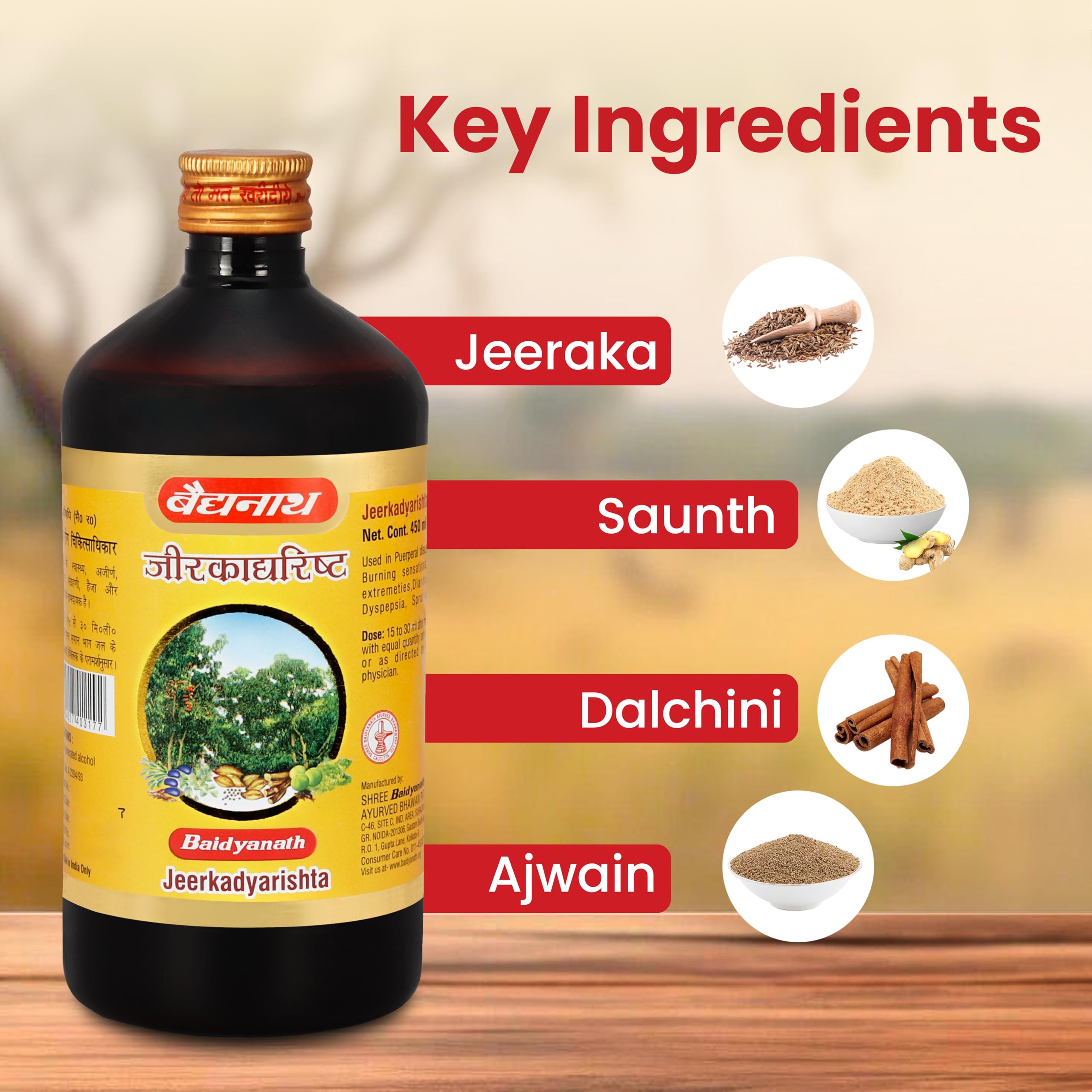 Baidyanath Jeerkadyarist Ayurvedic Tonic - 450 ml – view 5