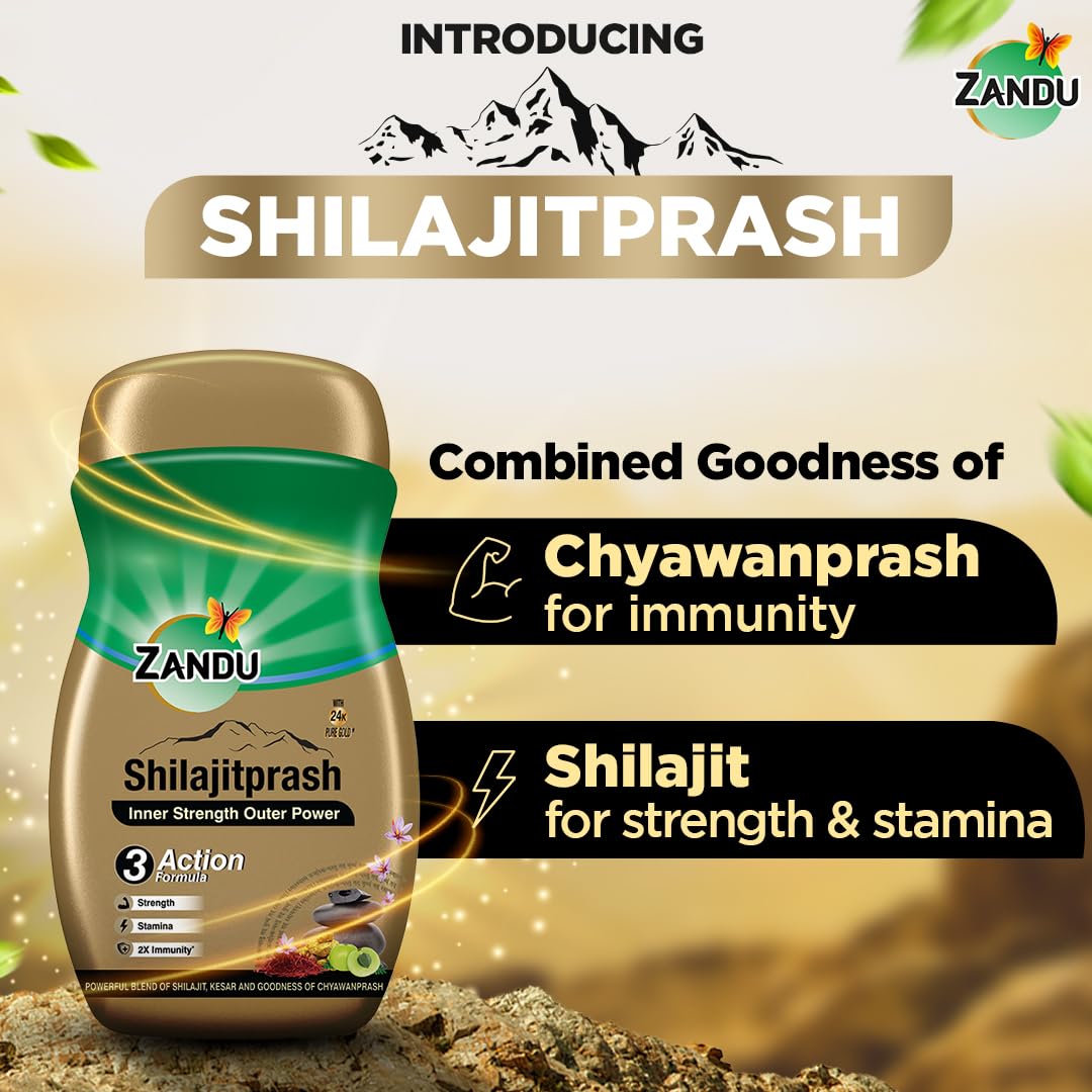 Zandu Shilajitprash – view 3