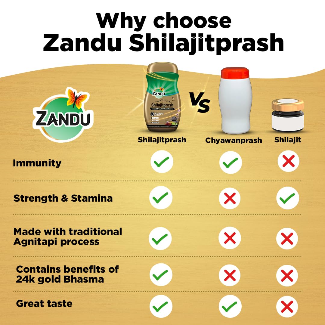 Zandu Shilajitprash – view 6