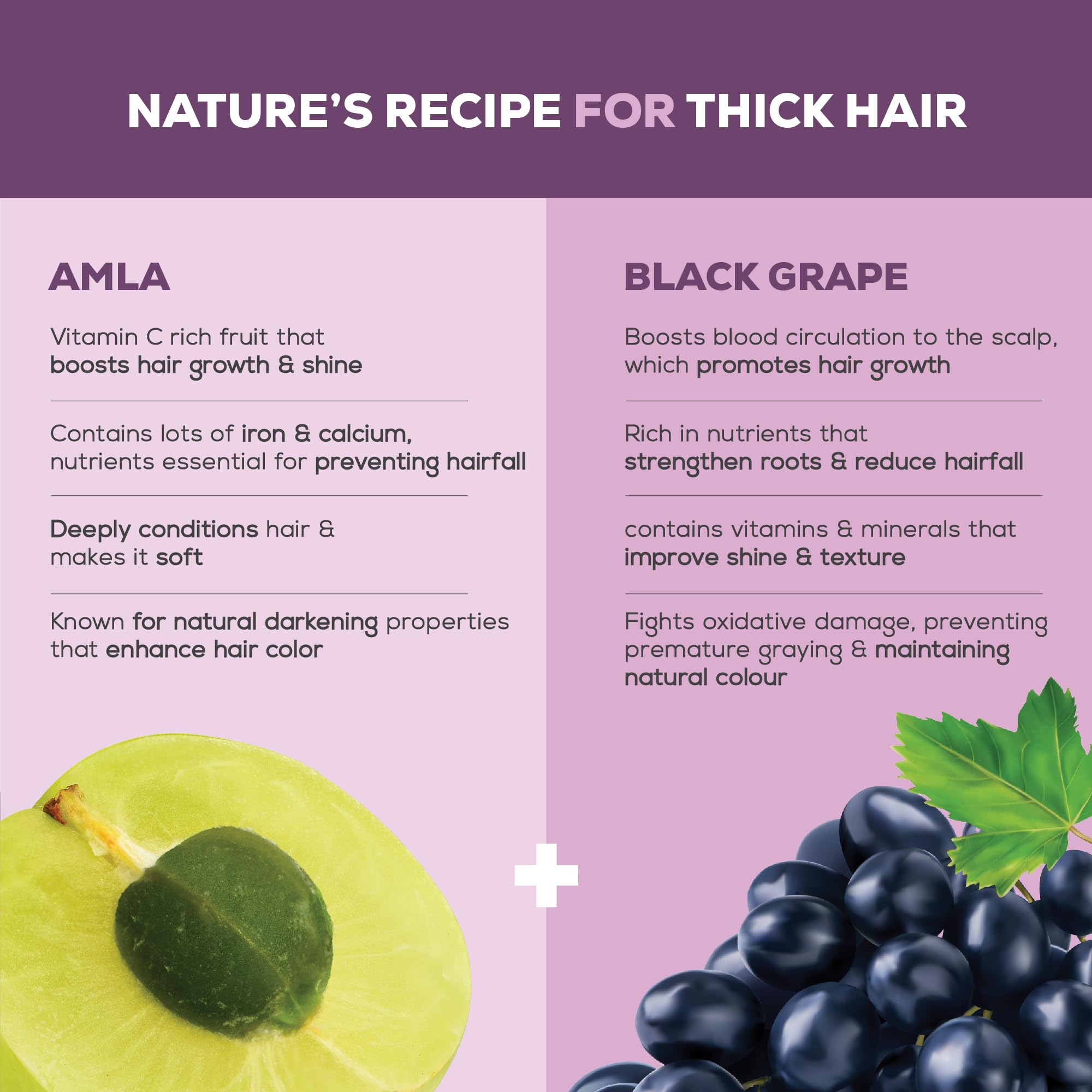 Joy Hair Fruits Shining Black Conditioning Shampoo Enriched with Amla & Black Grapes, 340 ml – view 3