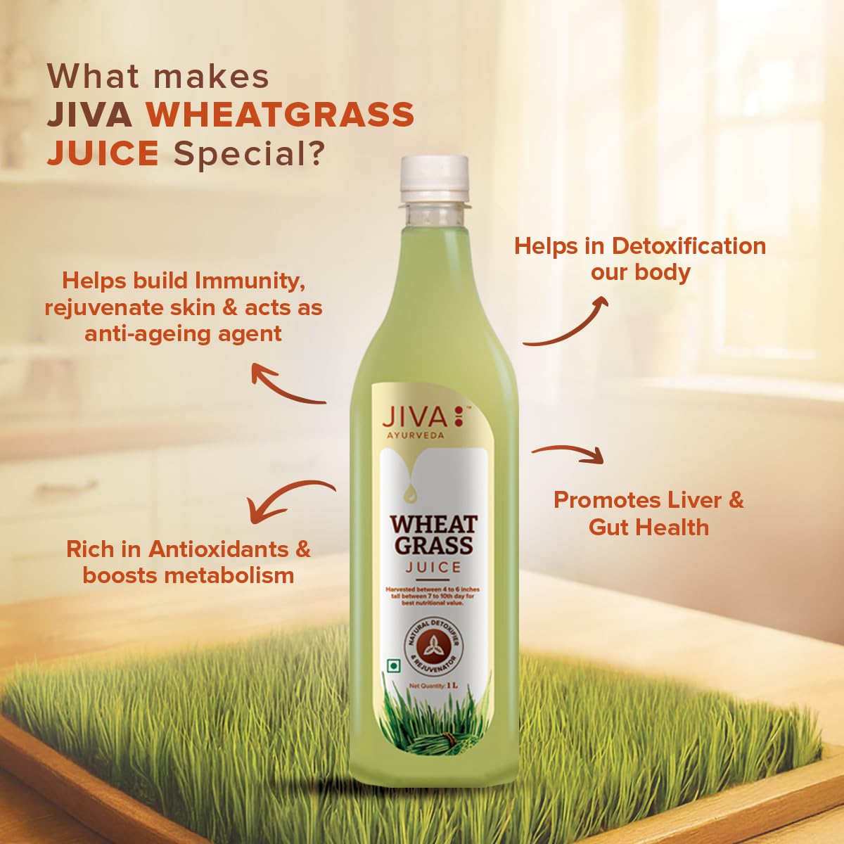 Jiva Wheatgrass Juice – view 3