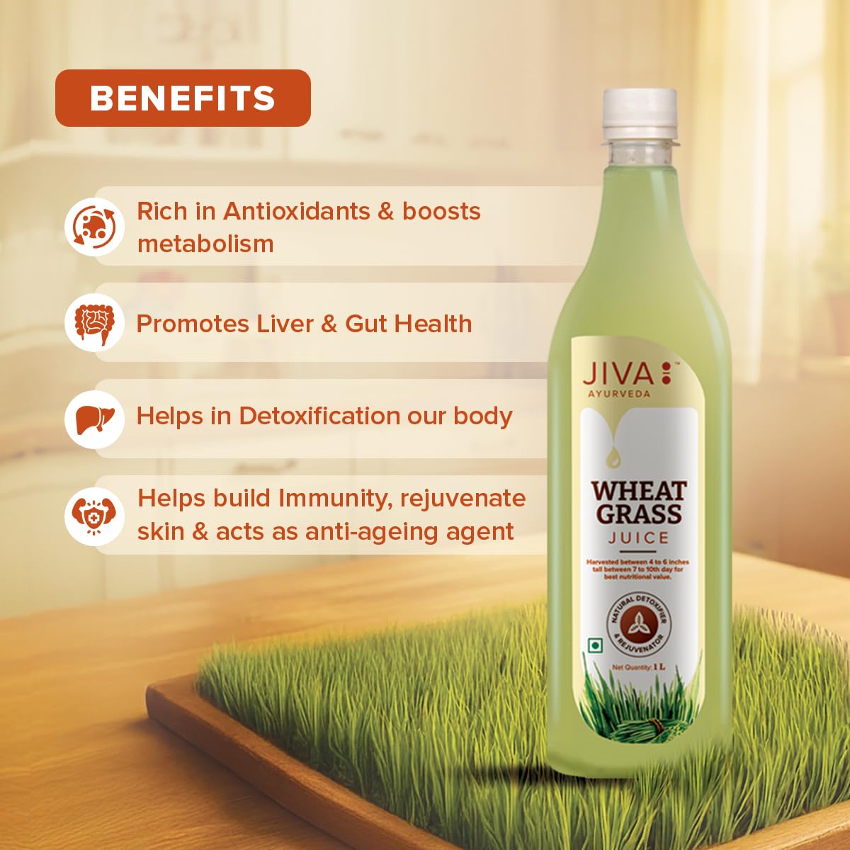 Jiva Wheatgrass Juice – view 4