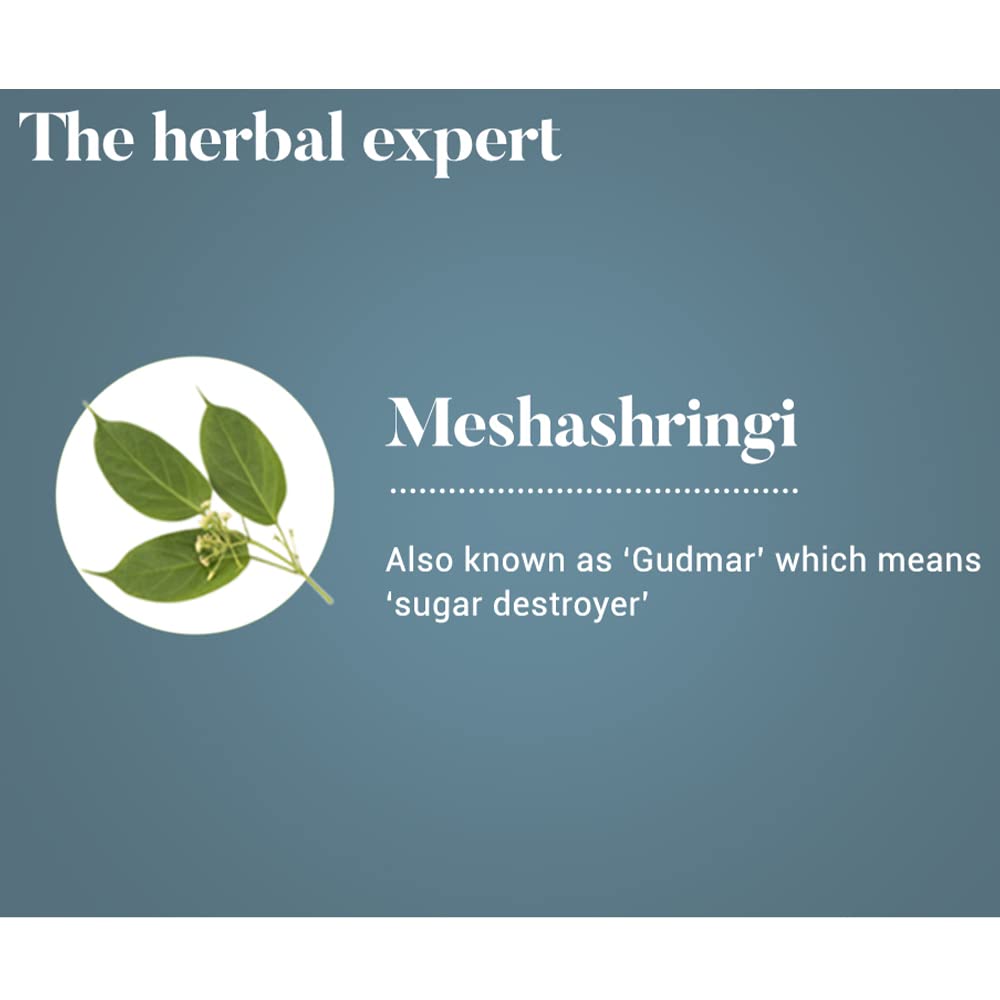 Himalaya Wellness Pure Herbs Meshashringi Metabolic Wellness - 60 Tablet – view 4
