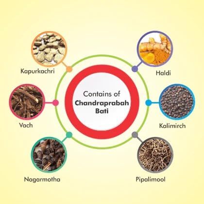 Baidyanath Asli Ayurved Original Ayurvedic Chandraprabha Vati 80 Tablet – view 6