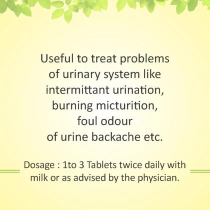 Baidyanath Asli Ayurved Original Ayurvedic Chandraprabha Vati 80 Tablet – view 7