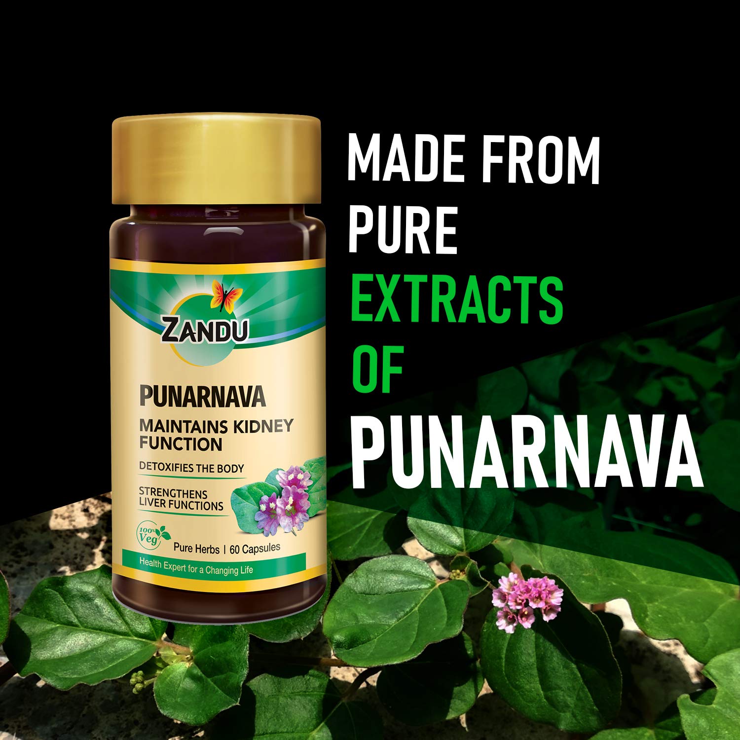 Zandu Punarnava Capsules, With Goodness of Natural Punarnava Extract known for Good Gut Health & for Healthy Appetite, Helps for Heart and Urinary Health - 60 Veg capsules – view 2