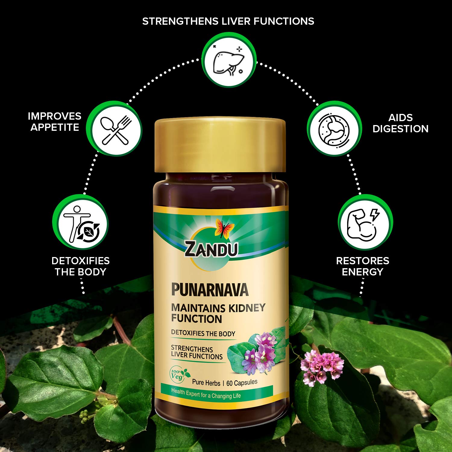 Zandu Punarnava Capsules, With Goodness of Natural Punarnava Extract known for Good Gut Health & for Healthy Appetite, Helps for Heart and Urinary Health - 60 Veg capsules – view 3