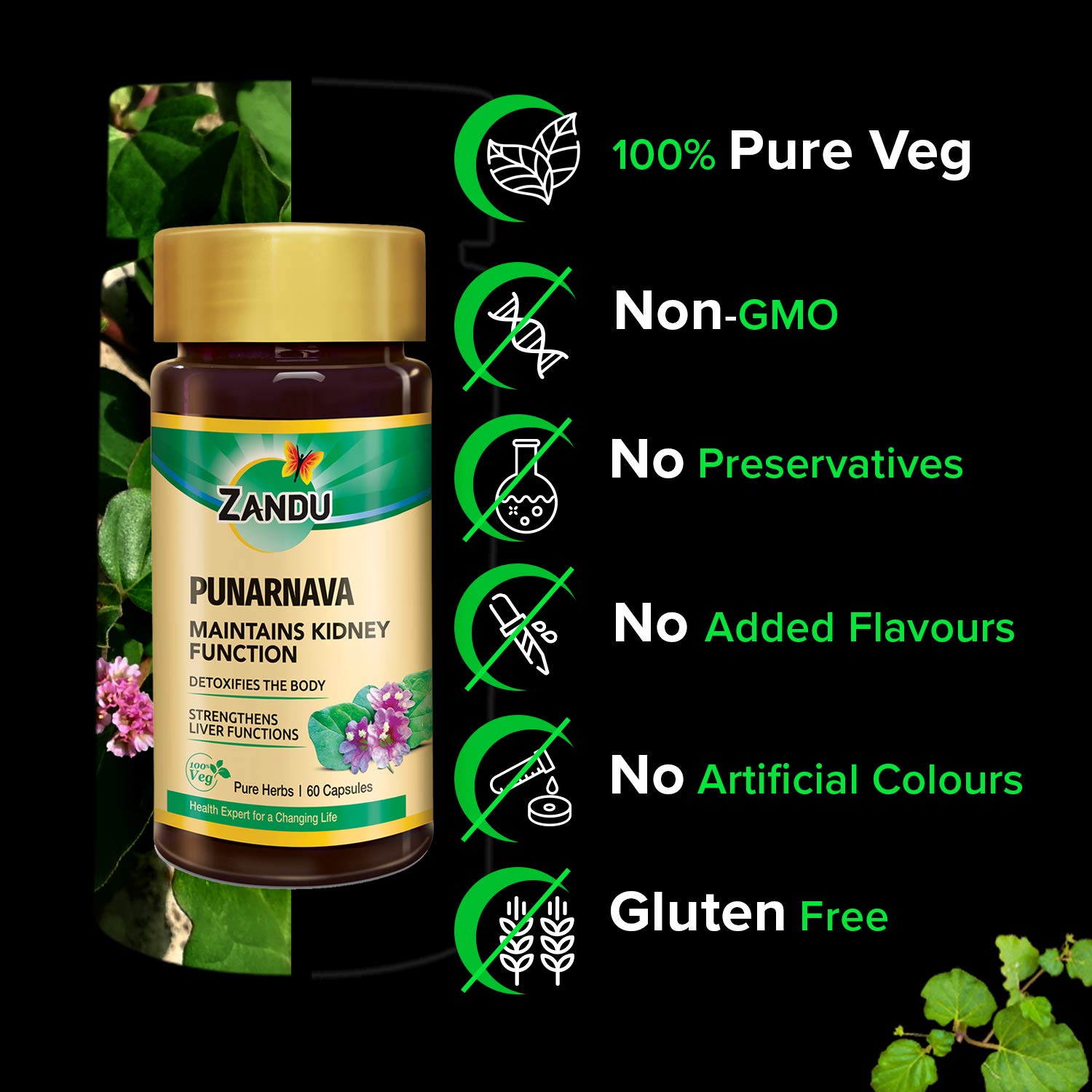 Zandu Punarnava Capsules, With Goodness of Natural Punarnava Extract known for Good Gut Health & for Healthy Appetite, Helps for Heart and Urinary Health - 60 Veg capsules – view 4