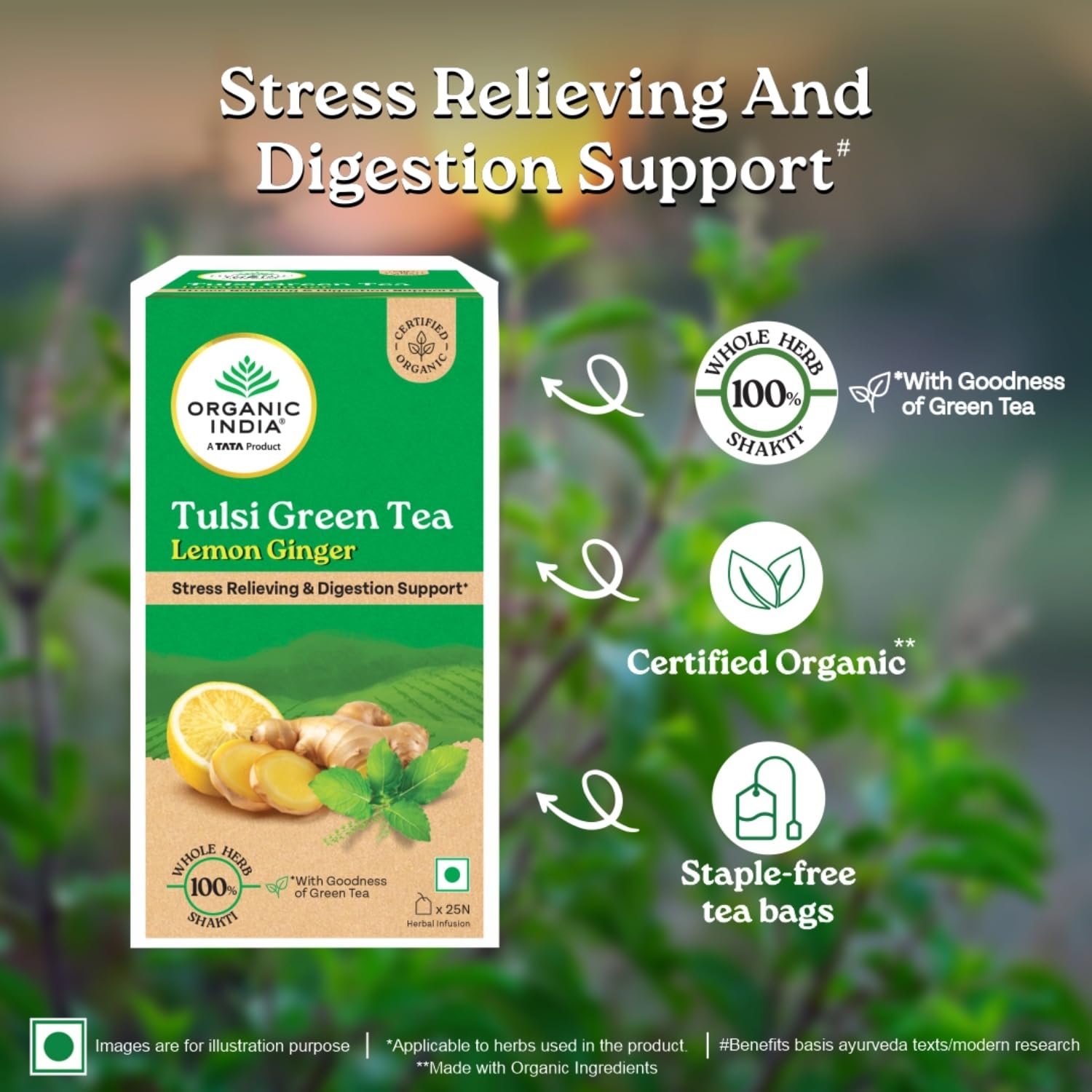 A TATA Product - Organic India Tulsi Green Tea Lemon Ginger - 25 Teabags, Herbal Blend with Green-Tea, Tulsi, Lemon & Ginger, Supports Digestion, Refreshing Taste, Natural Ingredients – view 3