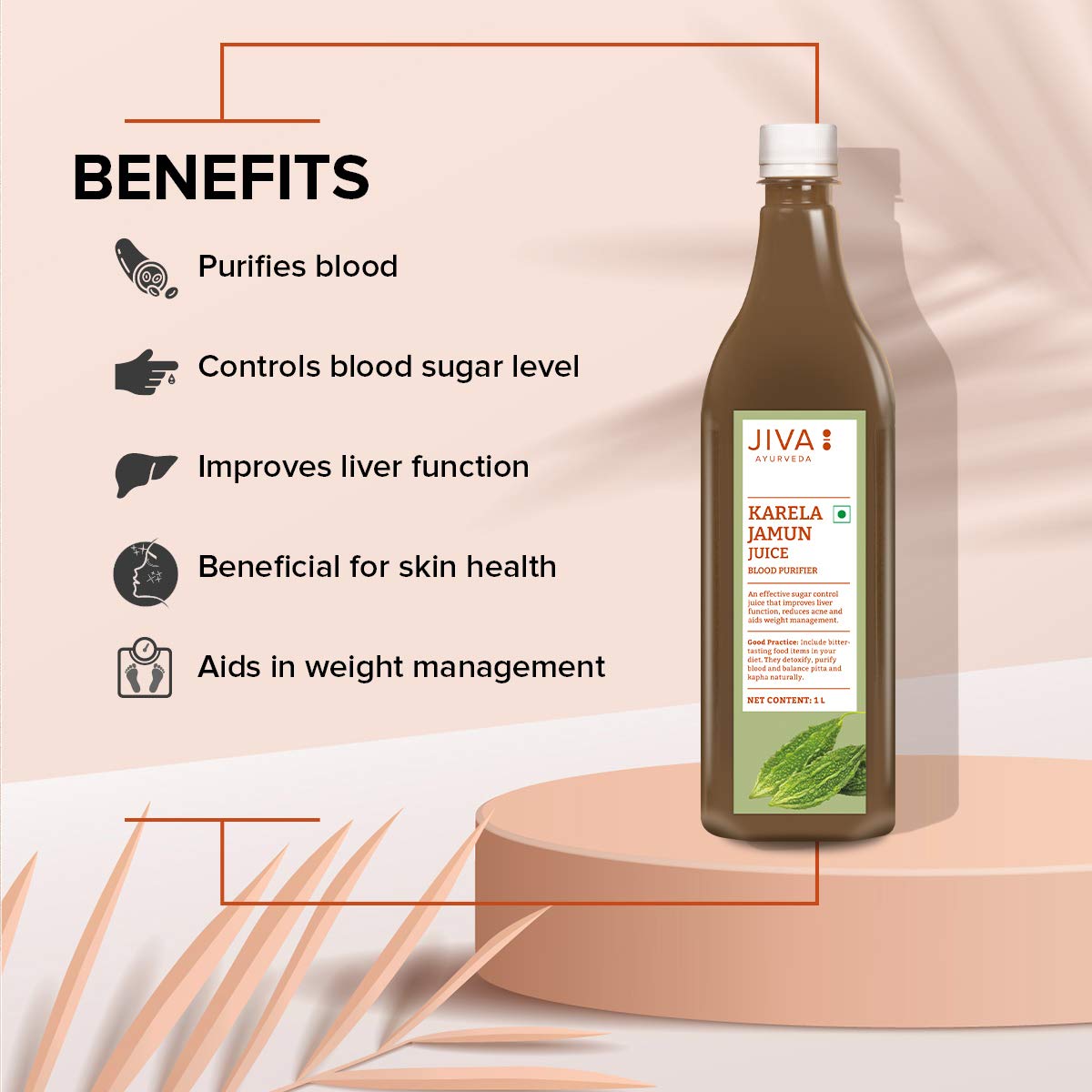 Jiva Ayurveda Karela Jamun Juice – view 4