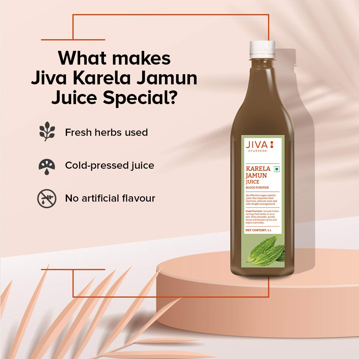 Jiva Ayurveda Karela Jamun Juice – view 5