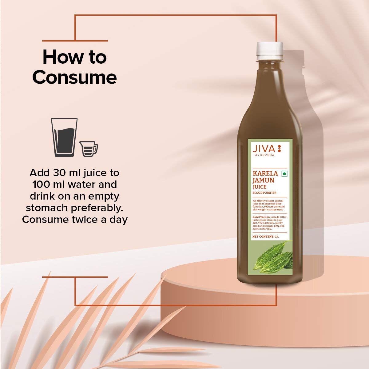 Jiva Ayurveda Karela Jamun Juice – view 6