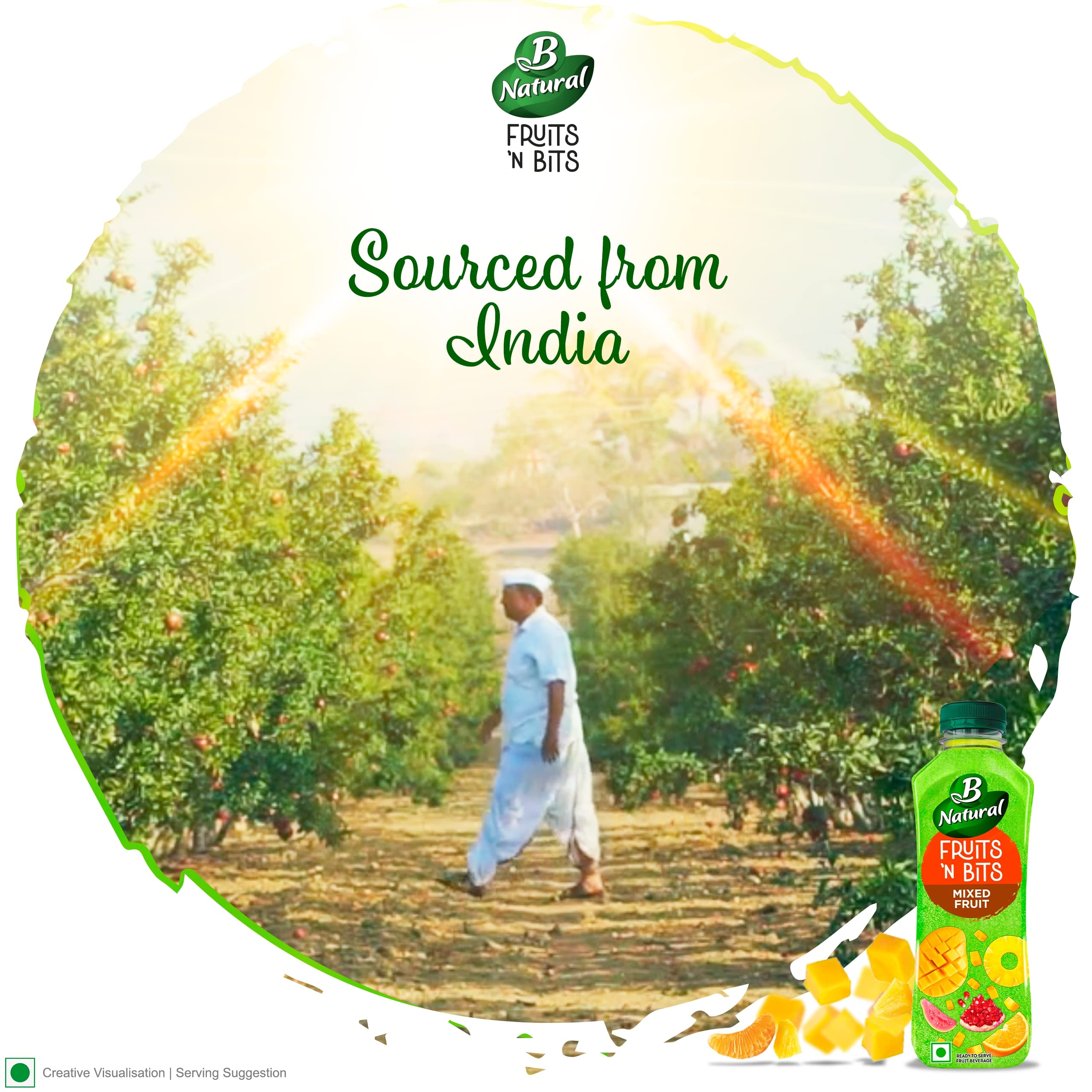 B Natural Fruits N Bits Mixed Fruit, Infused with Real Fruit Bits, 300ml, 100% Indian Fruit, 0% Concentrate, Goodness of Fiber, No Added Preservatives – view 8