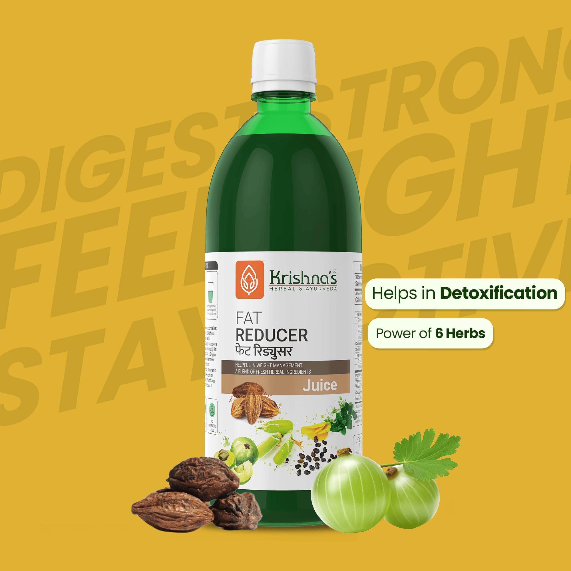 Krishna's Fat Reducer Juice - 500 ml – view 6