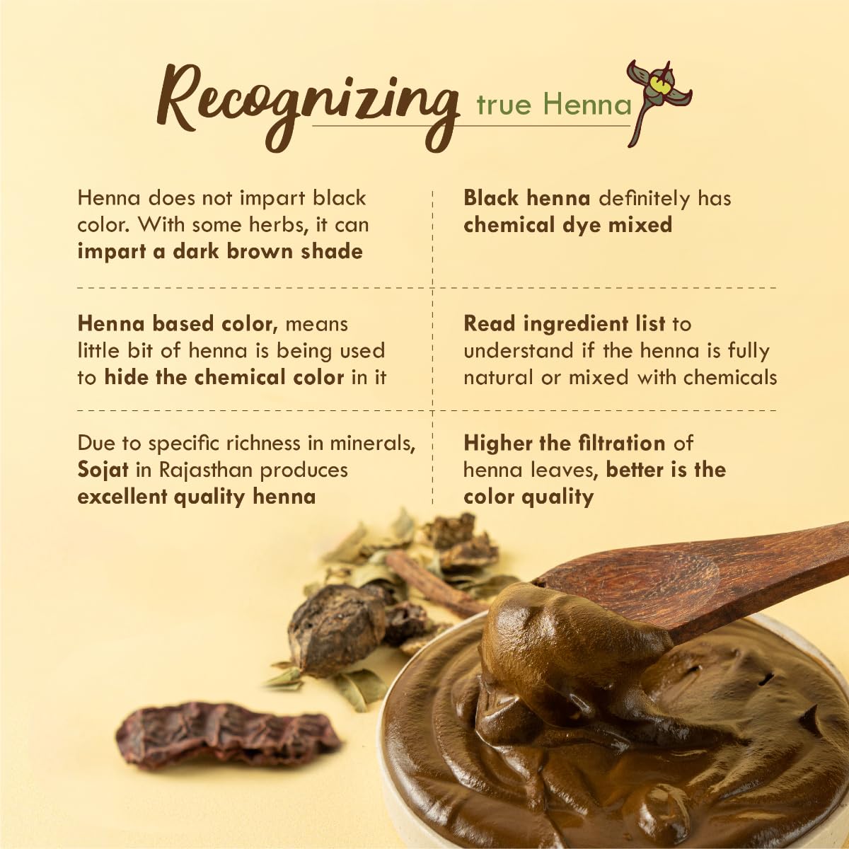 Nat Habit - Fresh Ready To Apply Henna Paste, Pre-Soaked in Black Tea and Herbs,100% Natural Rajasthani Henna, Imparts Rich Brown Shade (Pack of 2 x 220g) – view 4