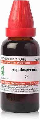 Dr. Willmar Schwabe India Aspidosperma Q 30ML (Pack of 2)