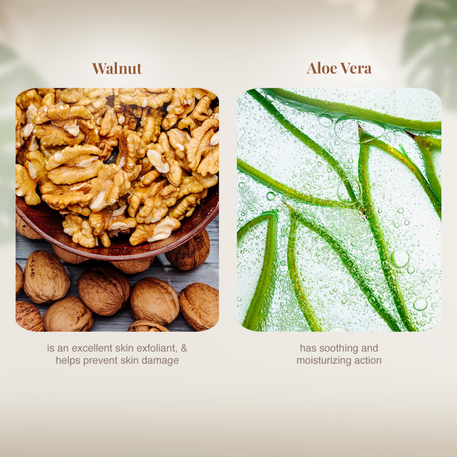 VLCC Walnut Face Scrub - 80g - (Pack of 2) – view 5