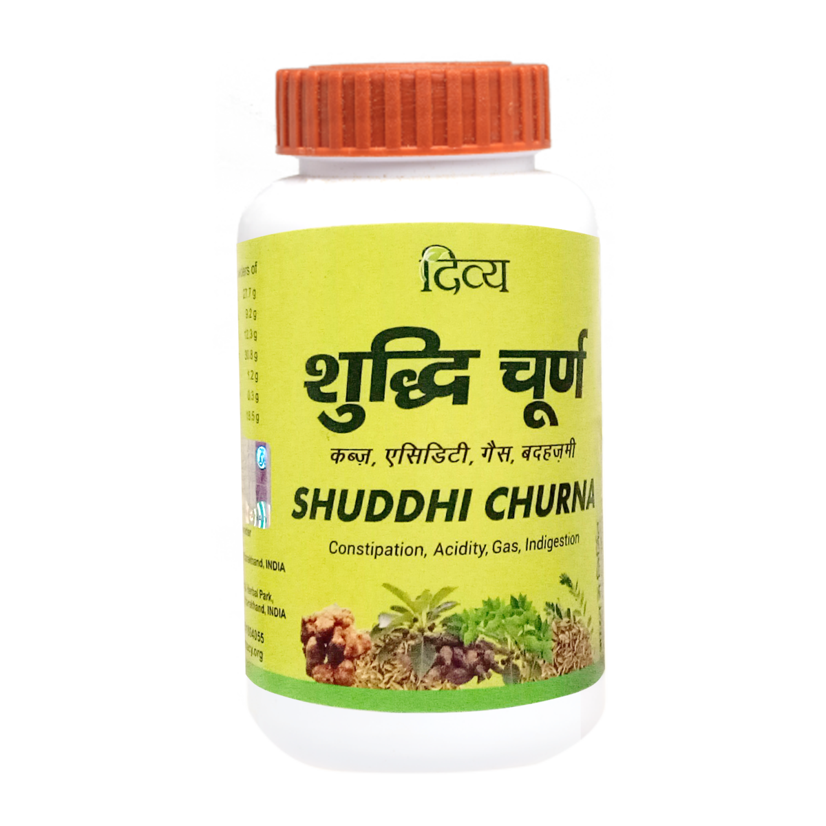 Patanjali Divy Shuddhi Churna 100 gm ayurvedic powder bag