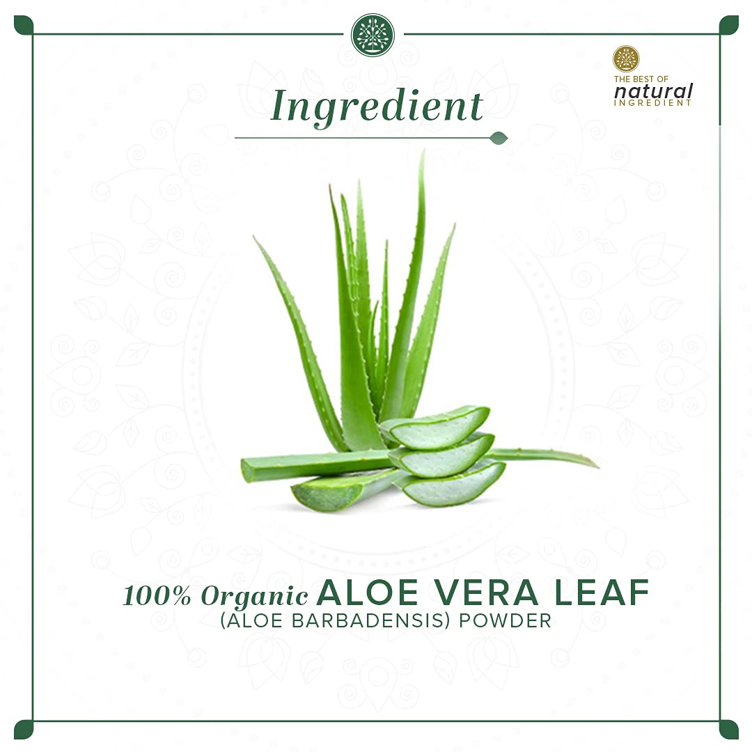 Khadi Natural Organic Aloe Vera Leaf Powder – view 6