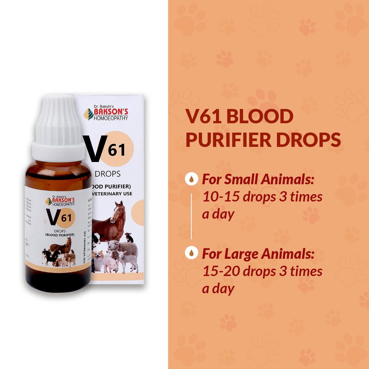 Bakson Veterinary – view 4
