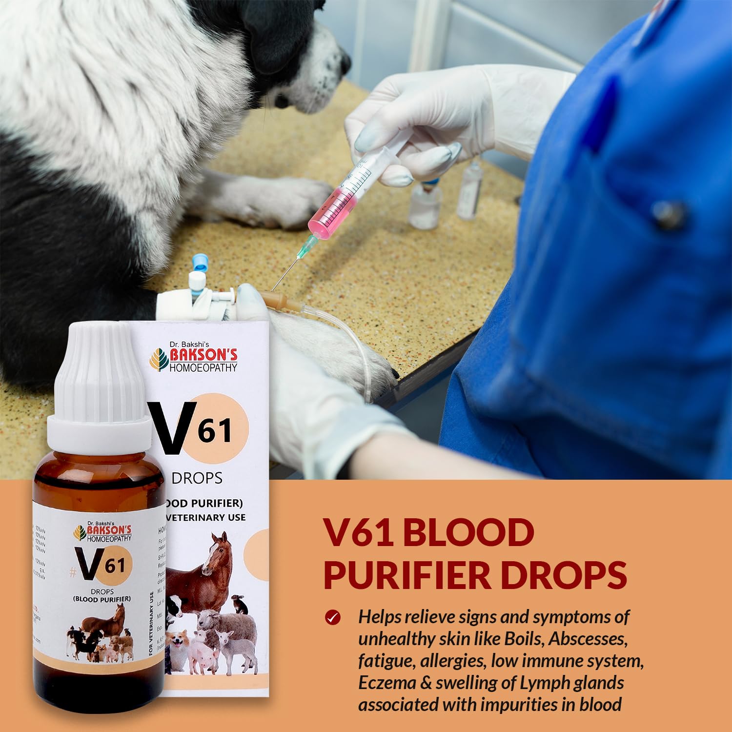 Bakson Veterinary – view 5