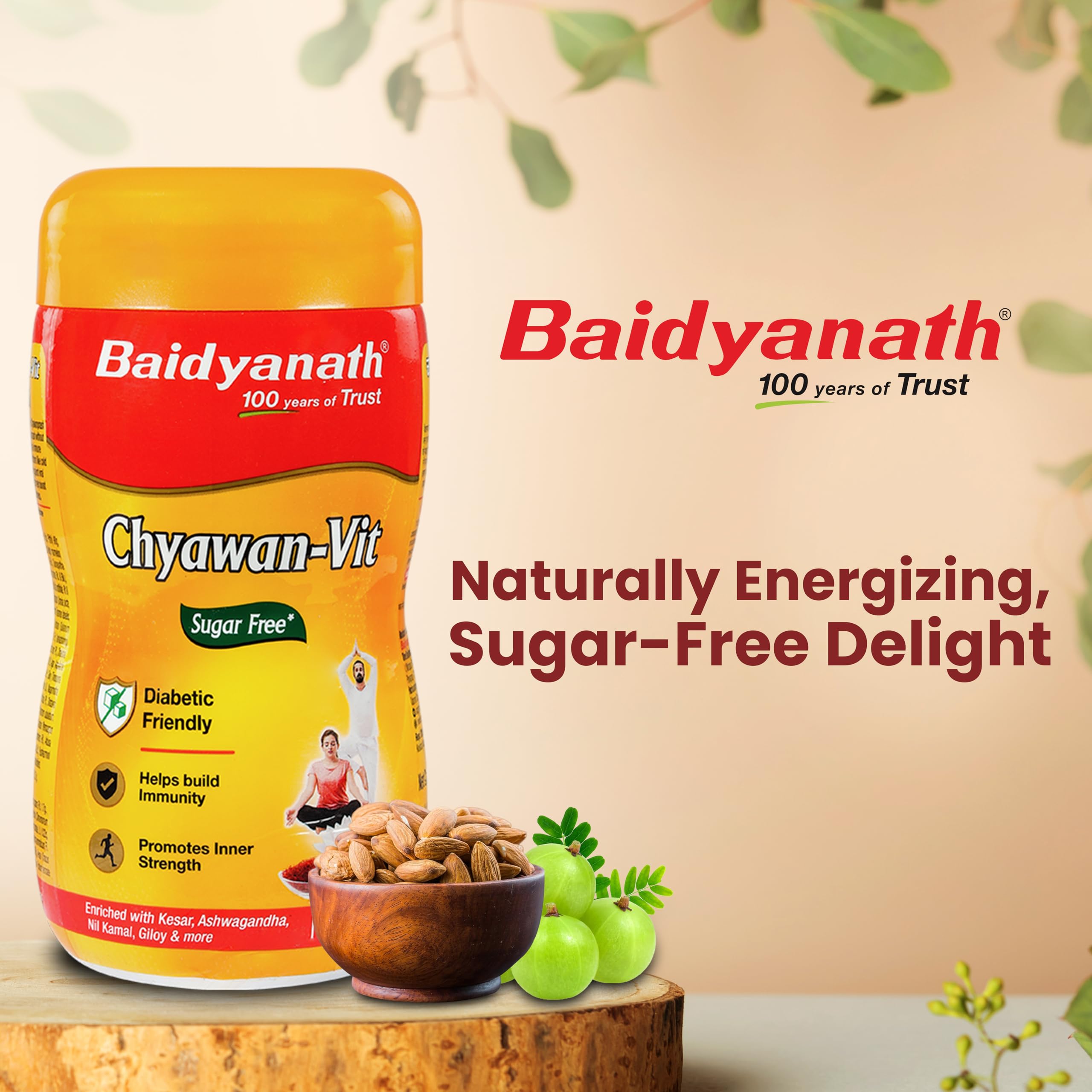 Baidyanath Sugarfree Chyawa-Vit 1kg- Specially Formulated Chyawanprash With No Added Sugar- With Benefits Of Amla, Ashwagandha And Almonds – view 4