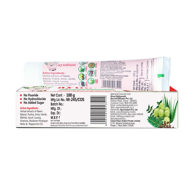 Baidyanath Ayurvedant Ayudant Oral Care Toothpaste 100G – view 2