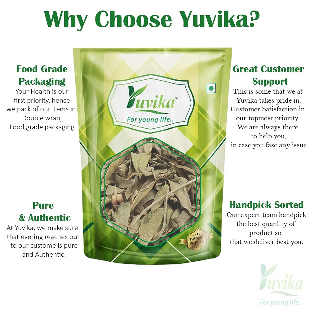 YUVIKA Rasna Leaves - Ray Sanay - Rai Senna - Pluchea lanceolata 100 Grams – view 3
